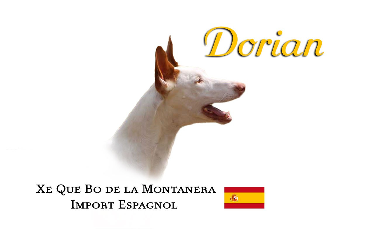CH. Xe que bo de la montanera
