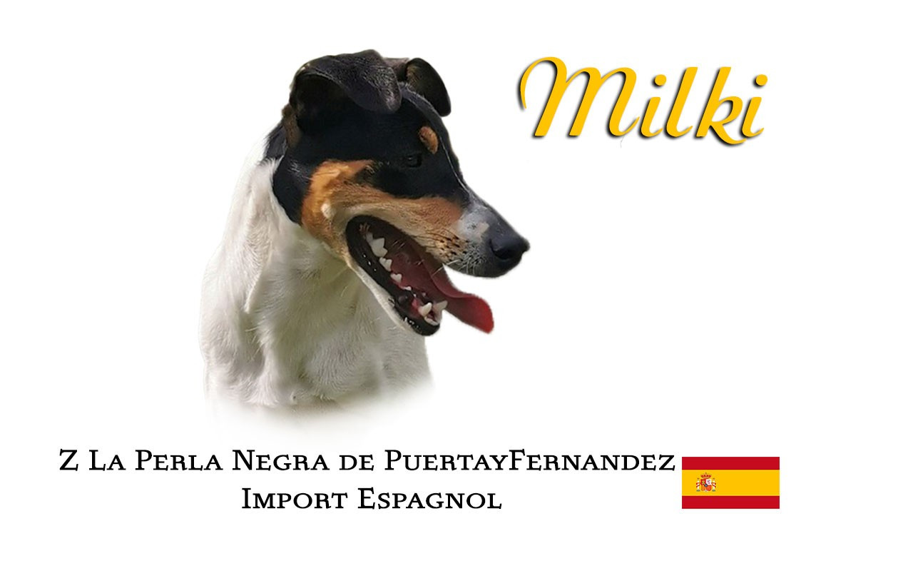 Z La Perla Negra puertayfernandez