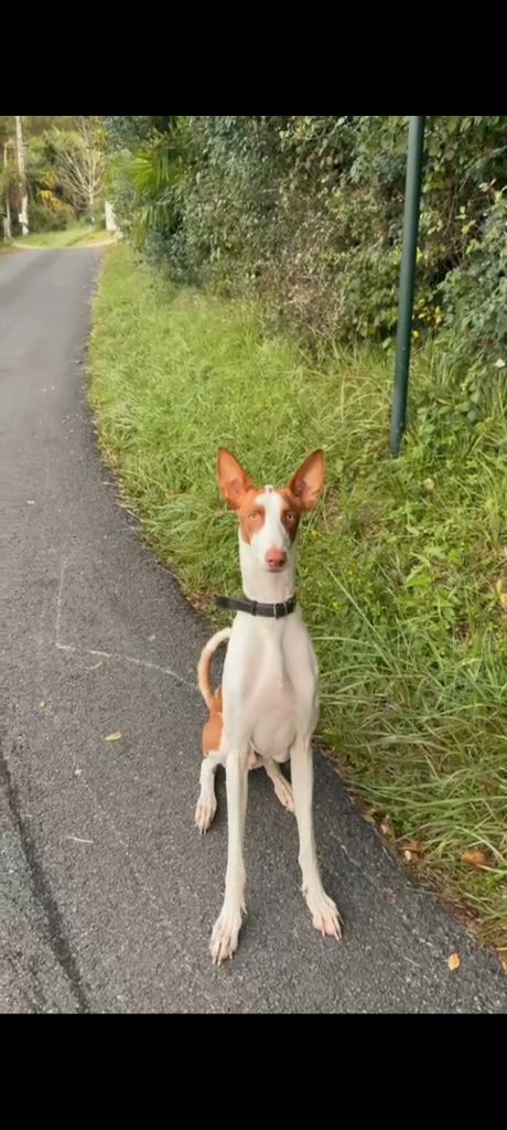 Que sont-ils devenus ? la portée Unbelievable Love à maintenant 2 ans